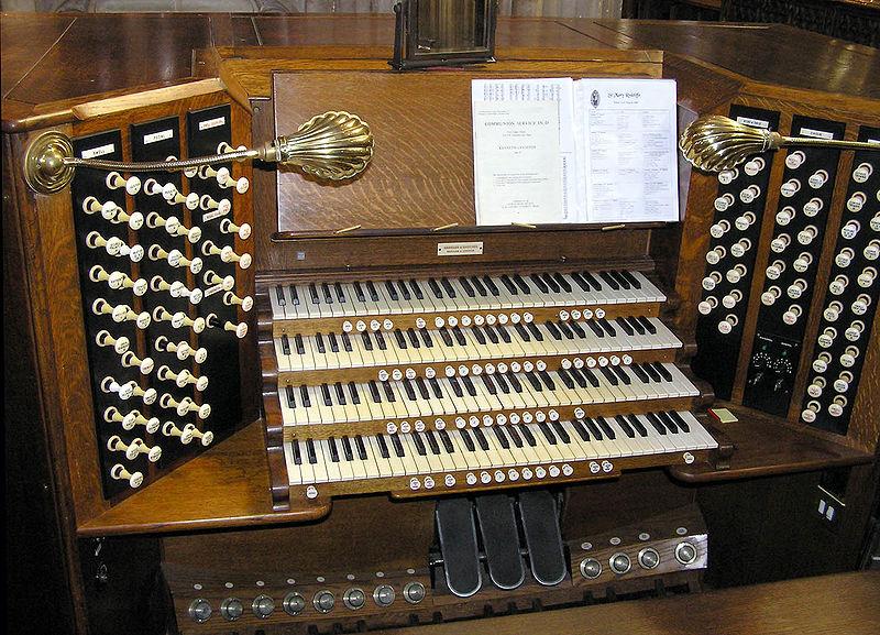 Literally an Organ