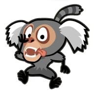 Marmoset (Angry Birds Rio)