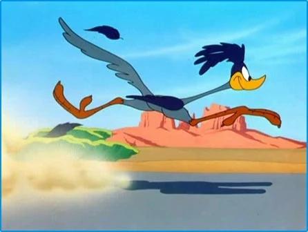 The Road Runner (Looney Tunes)