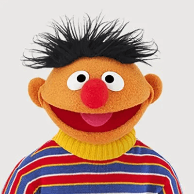 Ernie From Sesame Street