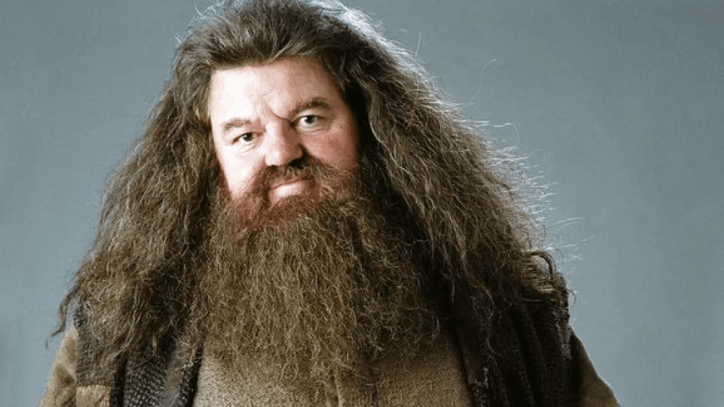 Hagrid (Harry Potter) (voice actor Francesco Pannofino)