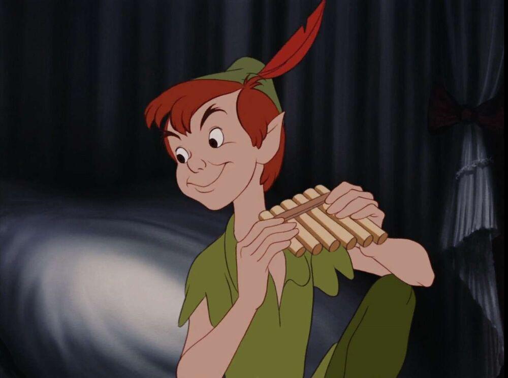 Peter Pan (Blayne Weaver, Disney's Peter Pan)