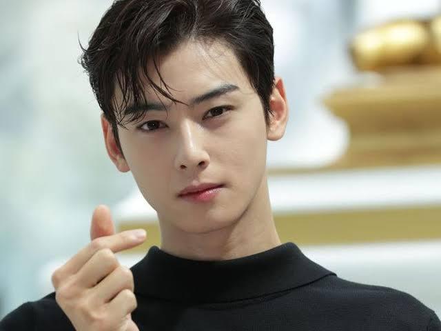 Cha Eun Woo (Astro)