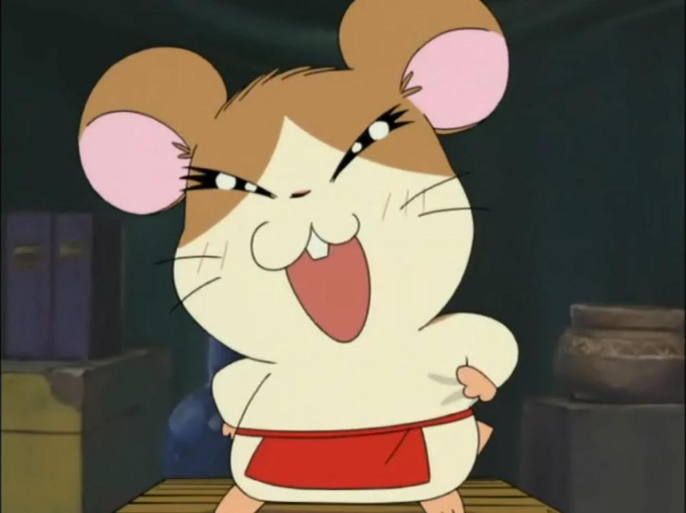 Hamtaro - Howdy