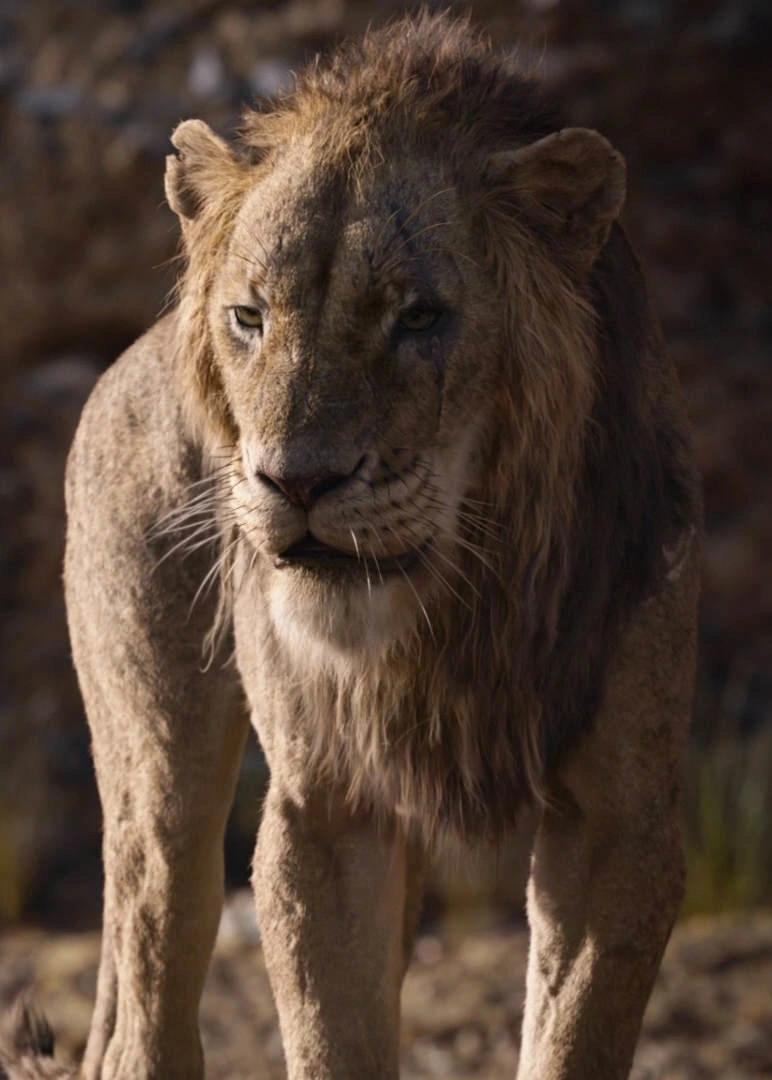 Scar (The Lion King 2019)