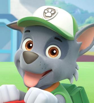 Rocky (PAW Patrol)