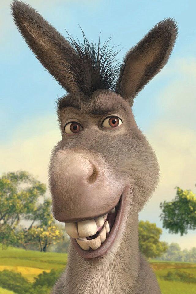 burro do shrek