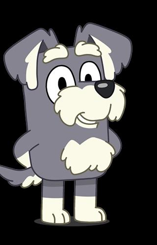 Dark Grey Terrier(Bluey)