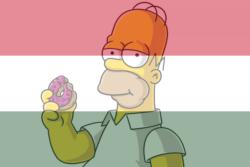 Homer Simpson (Székhelyi József)