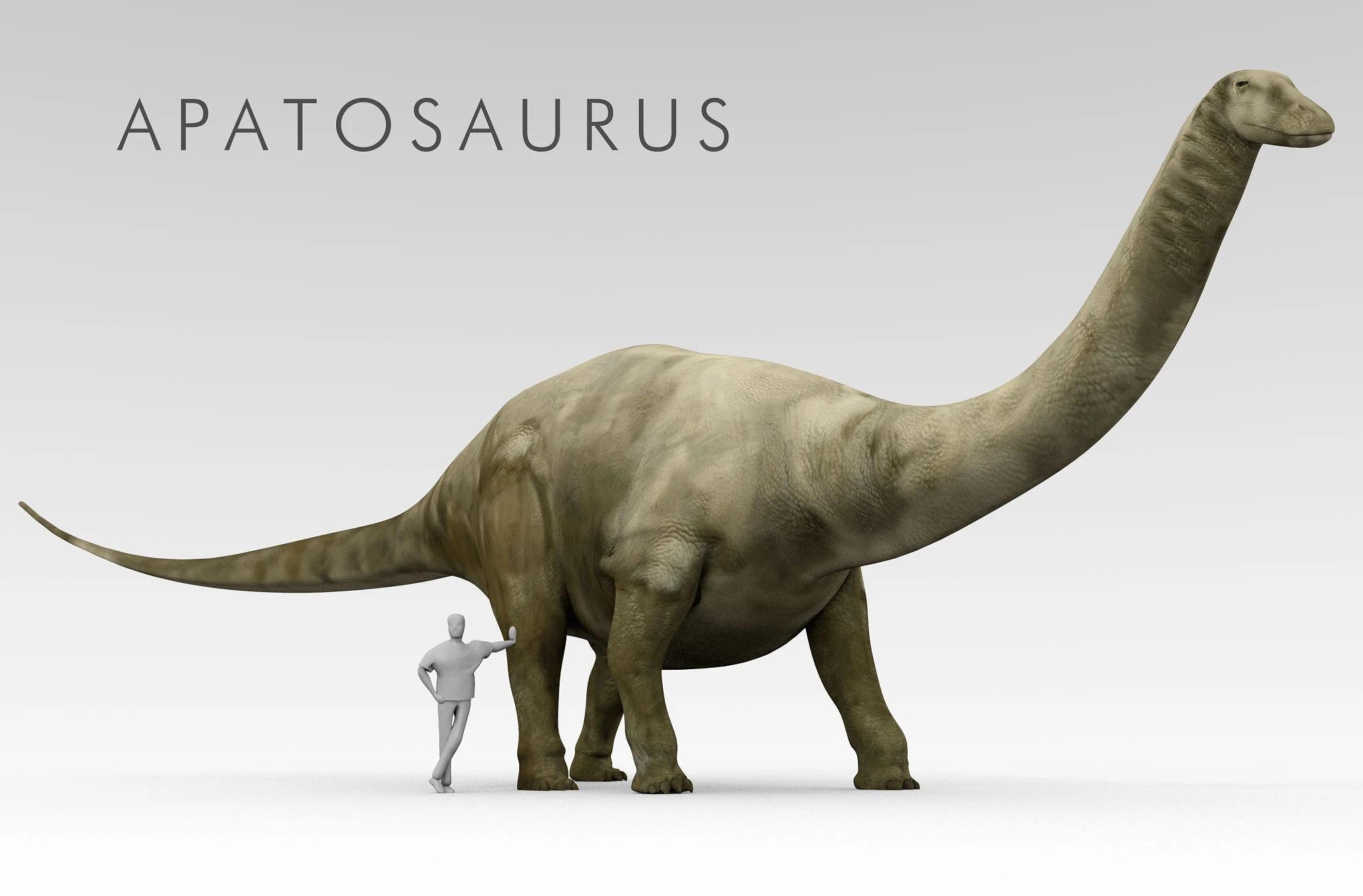 apatosaurus