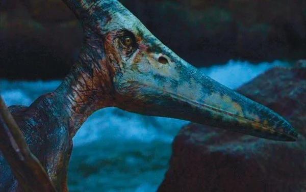 Pteranodon (Jurassic Park III)