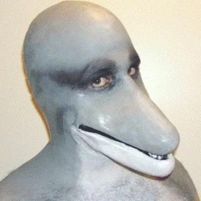 Dolphin man