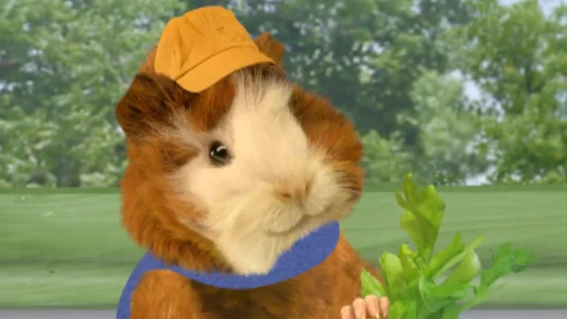 Linny the Guinea Pig (Wonder Pets)