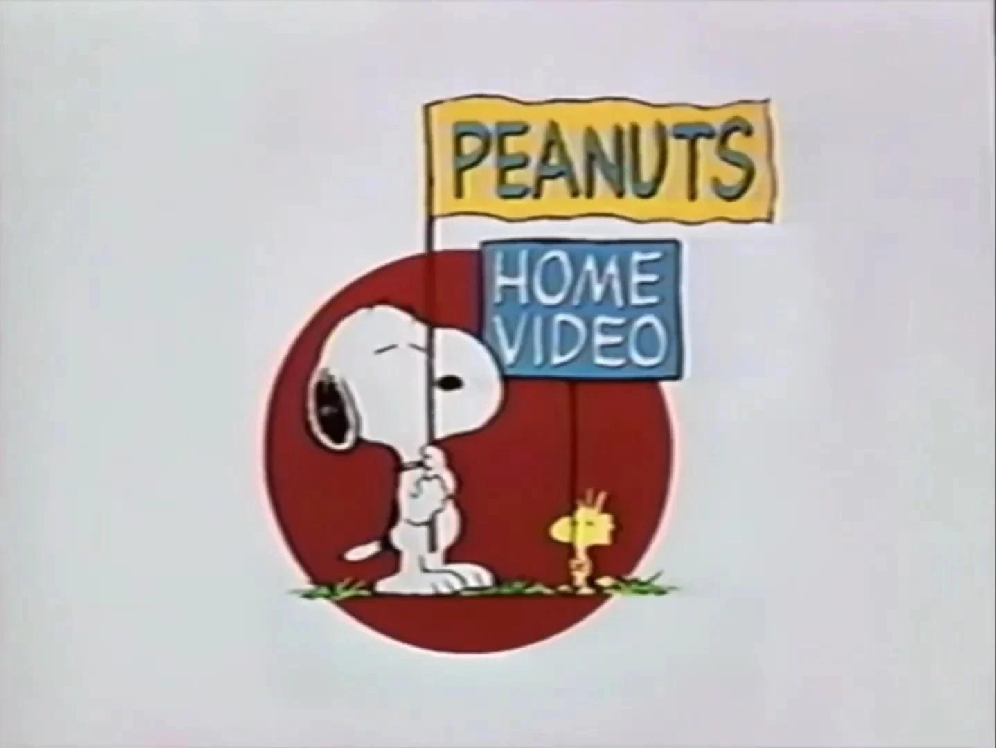 Brian Cummings (Peanuts Home Video, 1994-1995 Promo)