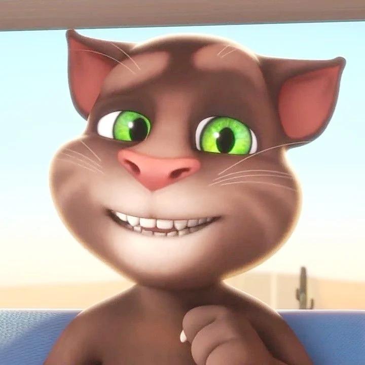 Talking Tom (Tom And Friends Web Series)