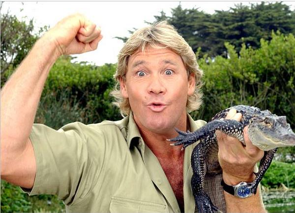 Steve Irwin