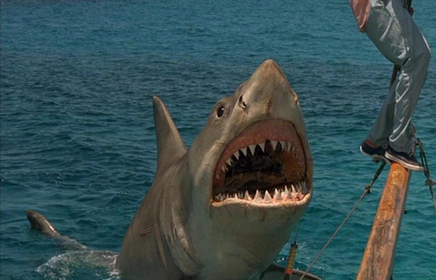 Vengeance (JAWS: The Revenge)