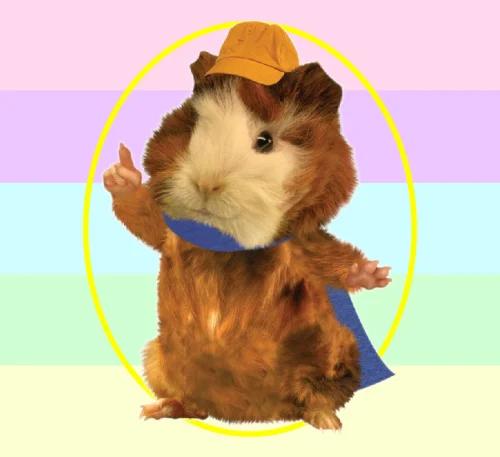 Linny the Guinea Pig (Wonder Pets)