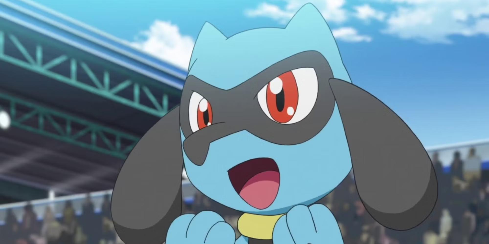 Riolu (Pokemon)