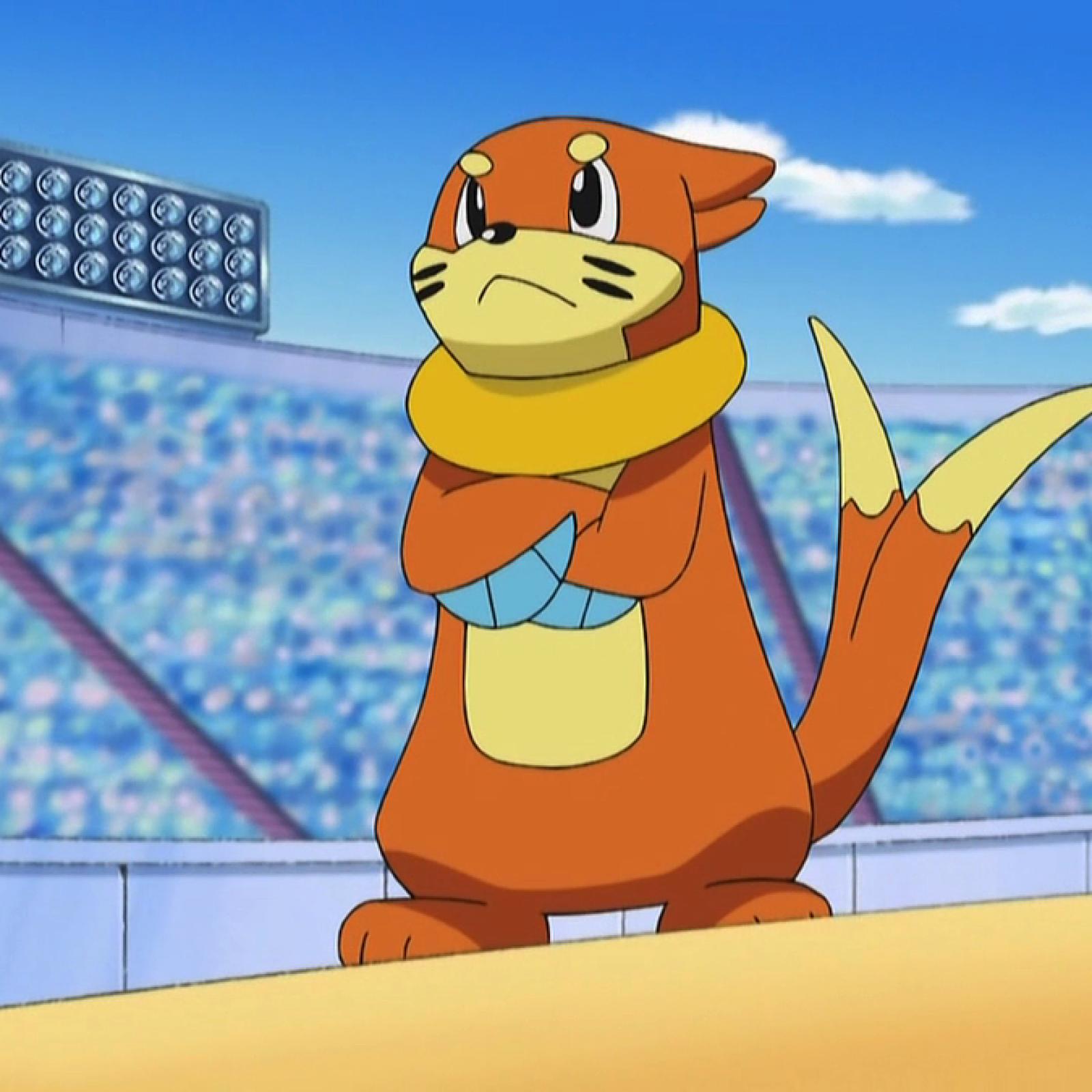 Buizel (Pokemon)