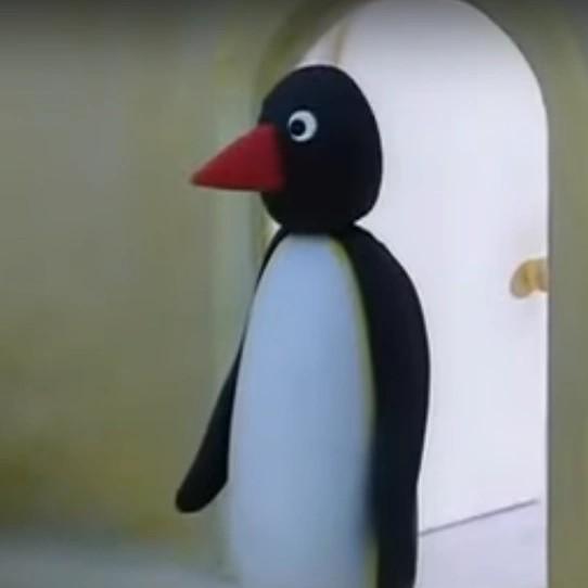 pingu's dad (pingu)