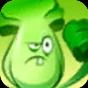 Bonk Choy (Plants vs. Zombies)