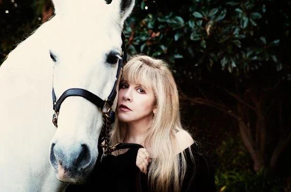 Stevie Nicks (In Your Dreams Era)