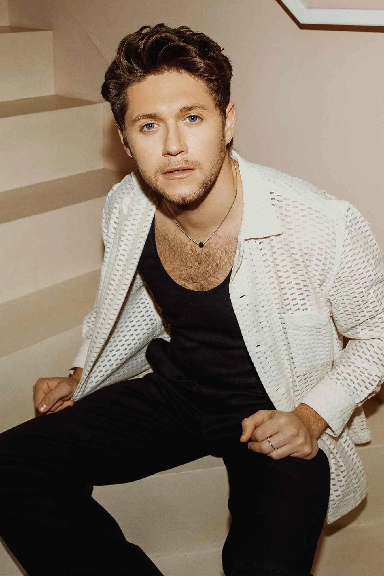 Niall Horan | Modelo AI RVC