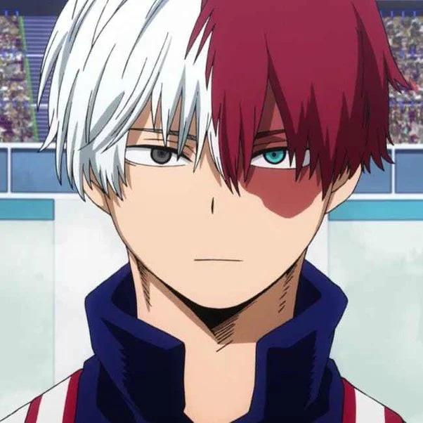 Shoto Todoroki (My Hero Academia)