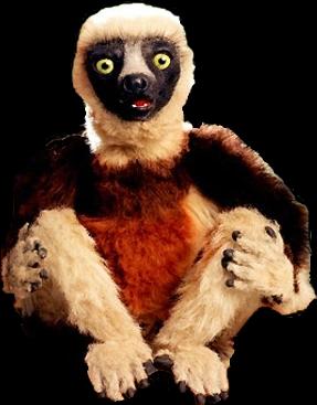 Zoboo (Zoboomafoo)