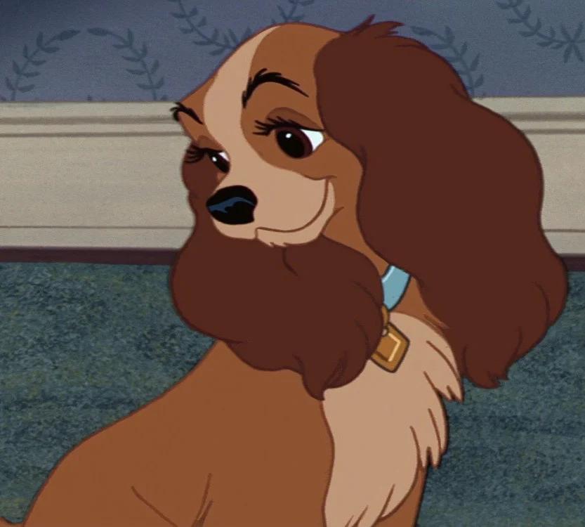 Lady from lady and the tramp scamp adventure