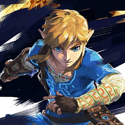 Link (Breath of the Wild & Tears of the Kingdom)