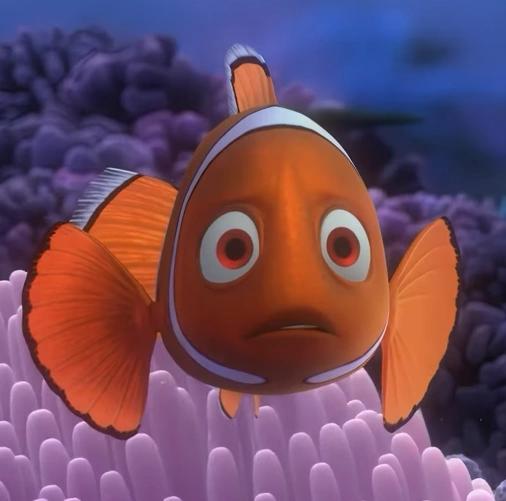 Coral (finding nemo)