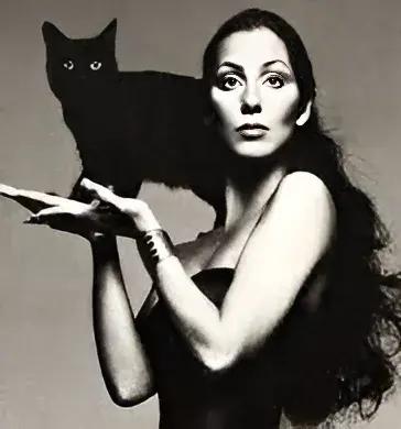 Cher (Dark Lady Era)