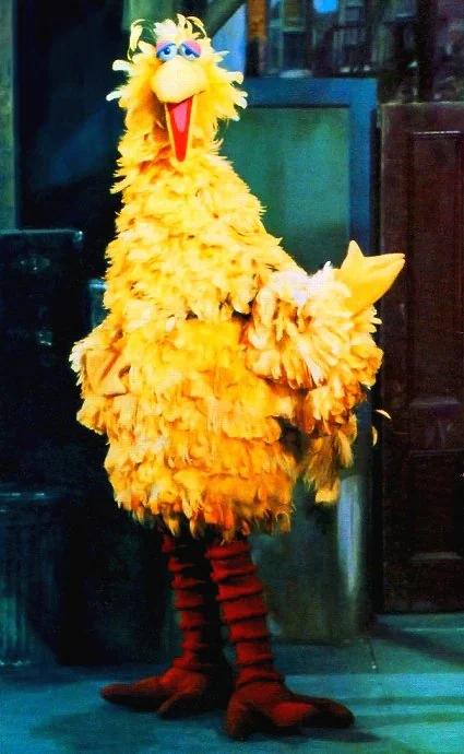 Big Bird (early season 1)