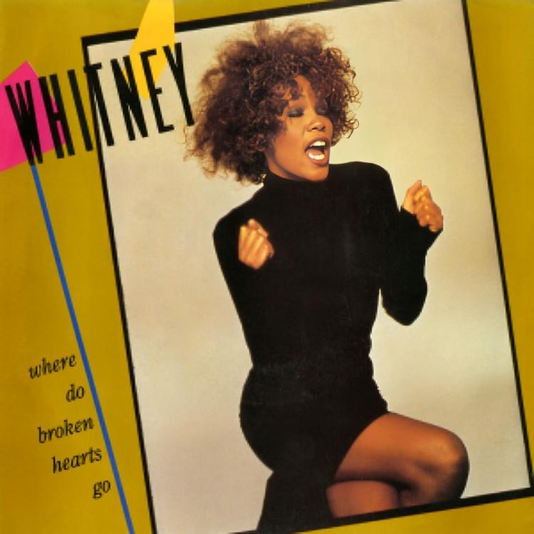 Whitney Houston (Where Do Broken Hearts Go  Single)