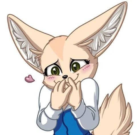 Fenneko BR