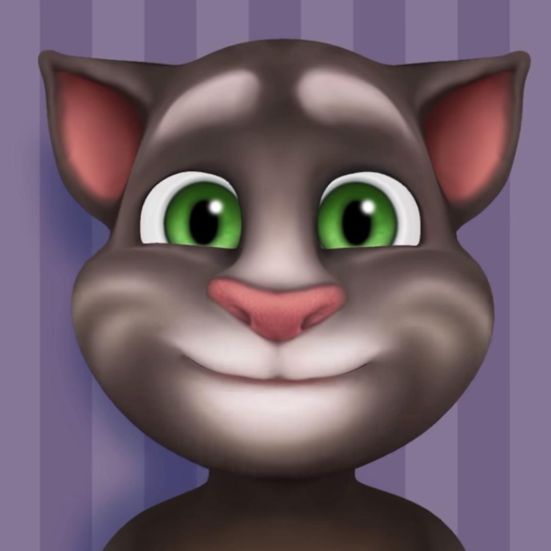 Talking Tom (2013-Early 2014 Channel)