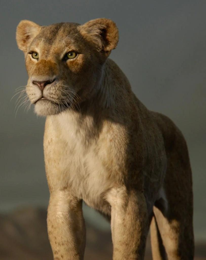 Nala (The Lion King 2019) (Beyoncé)