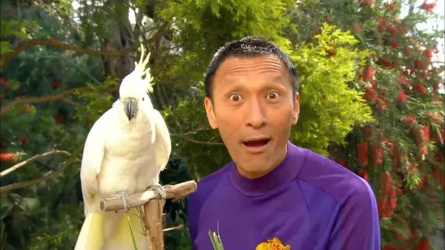 Jeff Fatt (The Wiggles) (Go Bananas!)