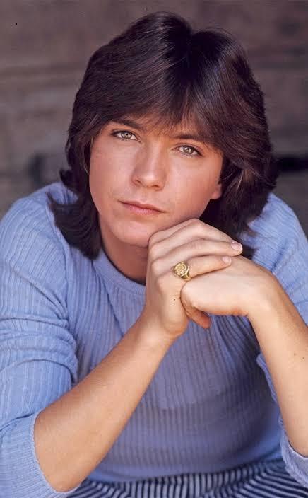 David Cassidy (I Think I Love You Single)