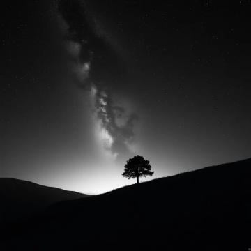 A tranquil vista of the Milky Way with the silhouette of a lone tree on a gentle hill, captured in the style of Ansel Adams. The subtle interplay of starlight and darkness, with soft focus on the stars and a timeless black and white tone.