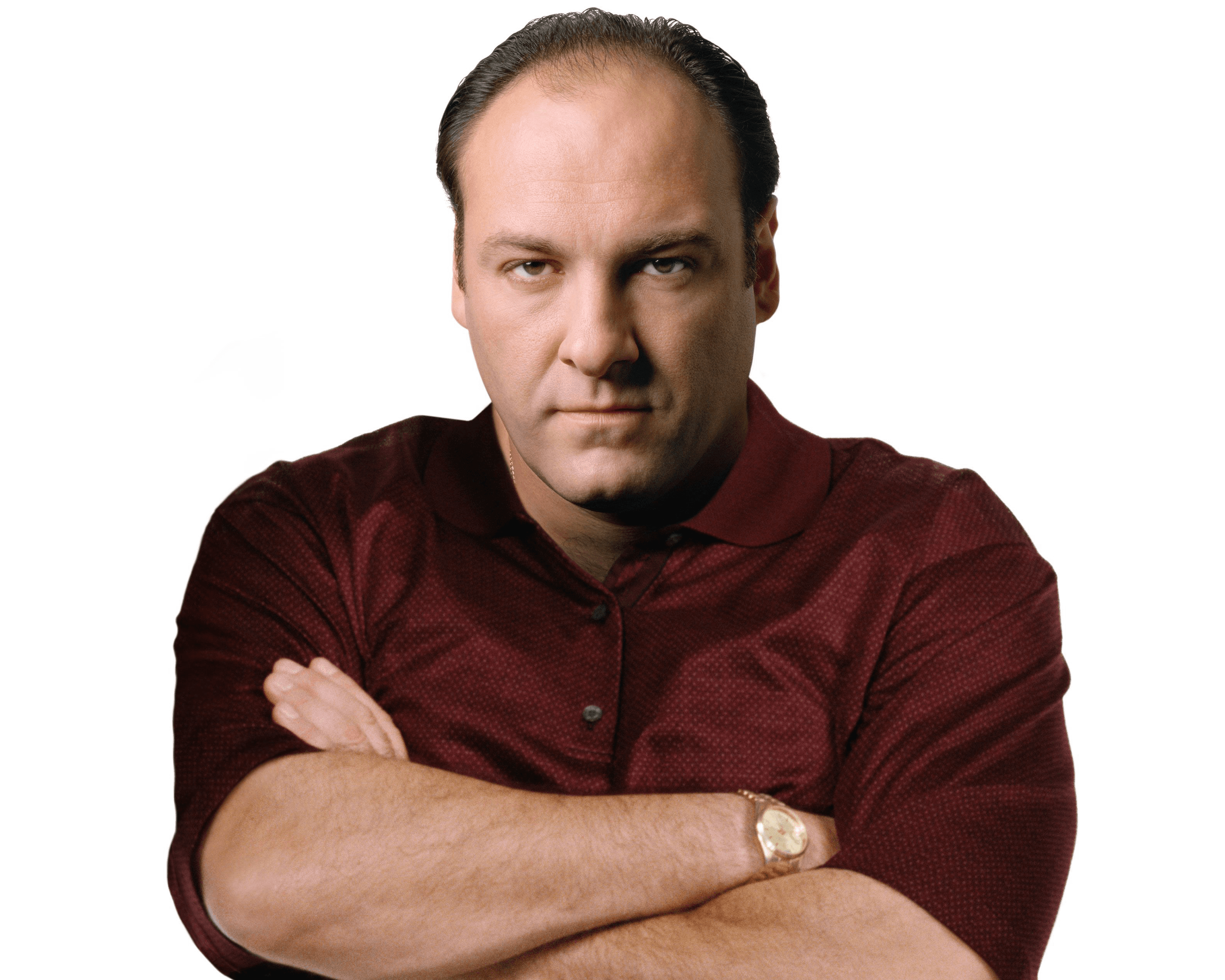 Tony Soprano From The Sopranos