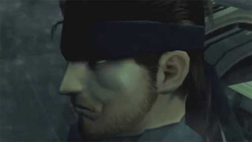 Solid Snake (Metal Gear Solid 2: Sons of Liberty)